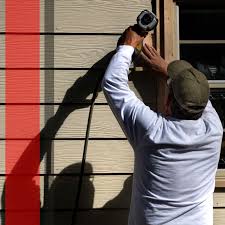 Best Siding Painting and Refinishing  in Bridge City, TX